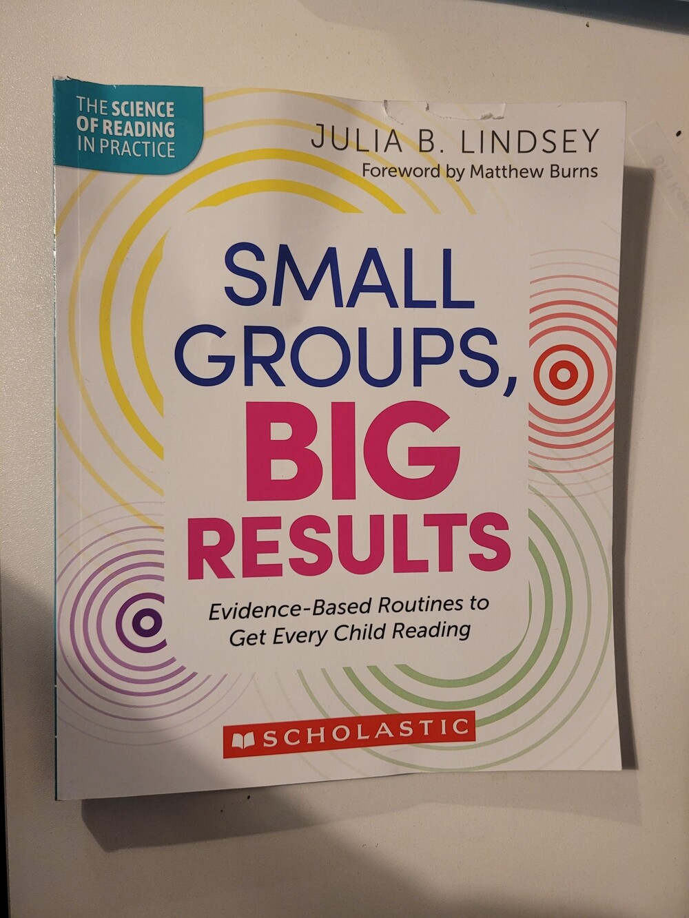 Small Groups, Big Results by Julia B. Lindsey Paperback Reading Guide